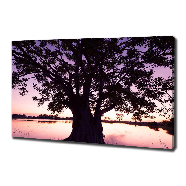 Canvas wall art Tree and lake