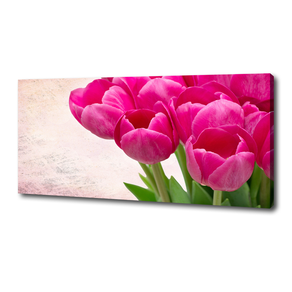 Canvas wall art Pink tulips