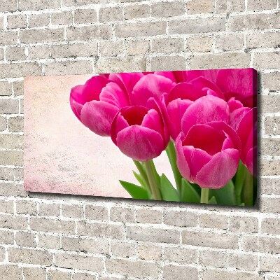 Canvas wall art Pink tulips