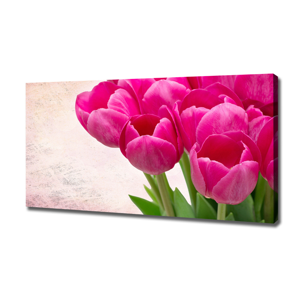 Canvas wall art Pink tulips