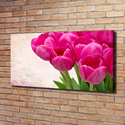 Canvas wall art Pink tulips