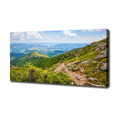 Canvas wall art Green hills