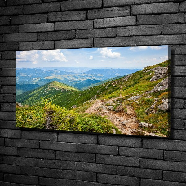 Canvas wall art Green hills