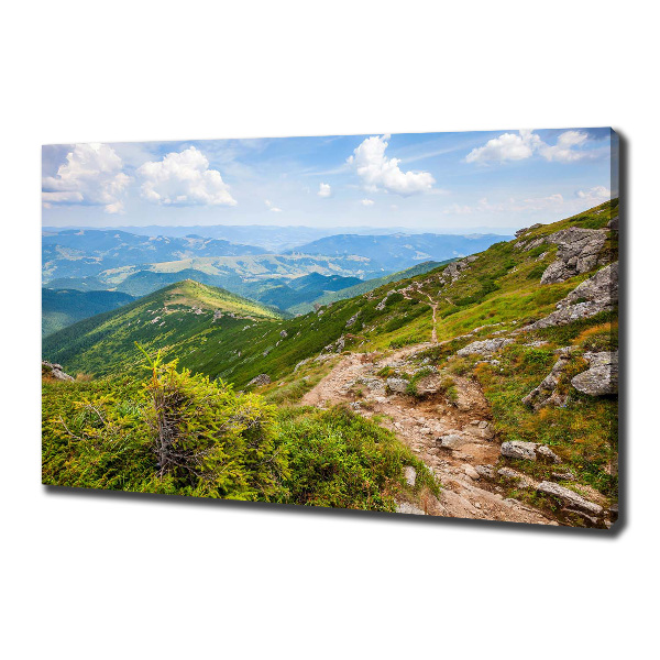 Canvas wall art Green hills