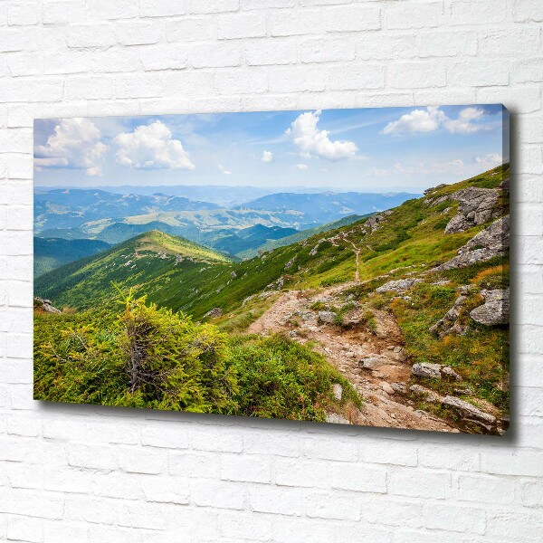 Canvas wall art Green hills