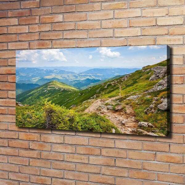 Canvas wall art Green hills