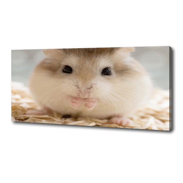 Canvas wall art Hamster