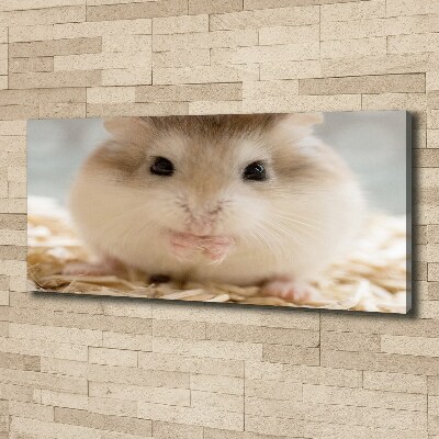 Canvas wall art Hamster