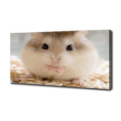 Canvas wall art Hamster