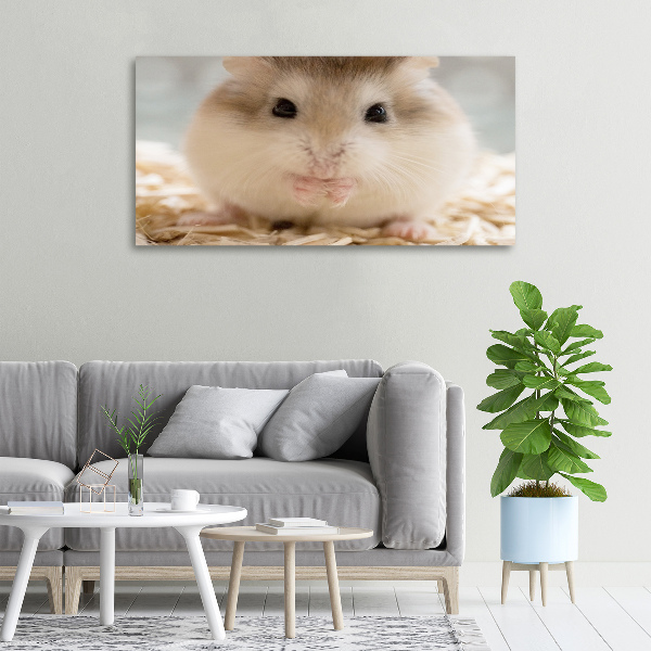 Canvas wall art Hamster