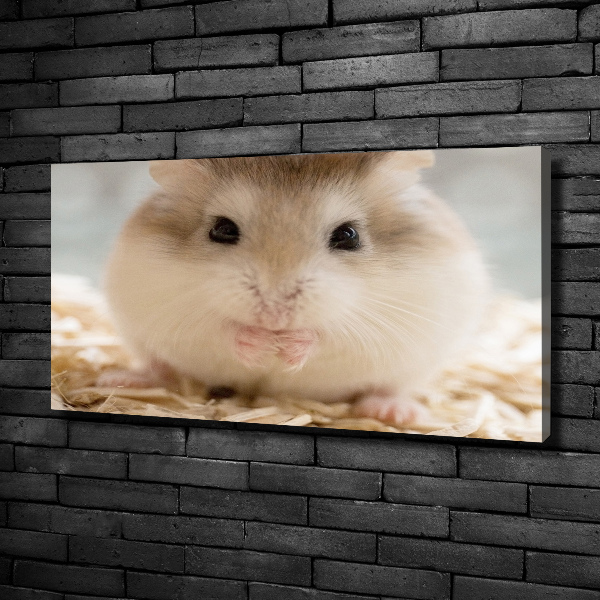 Canvas wall art Hamster