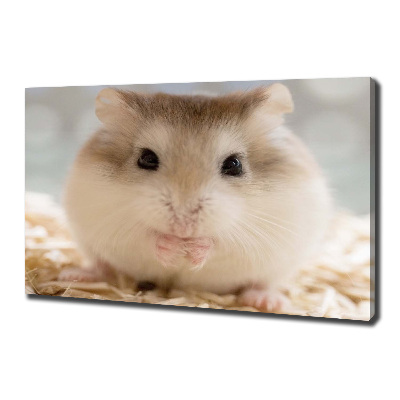 Canvas wall art Hamster