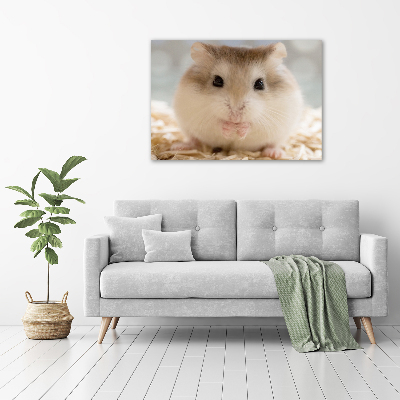 Canvas wall art Hamster