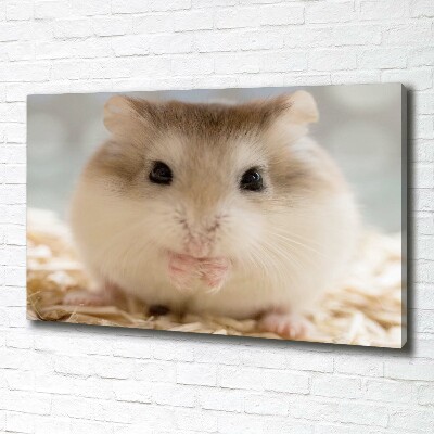 Canvas wall art Hamster