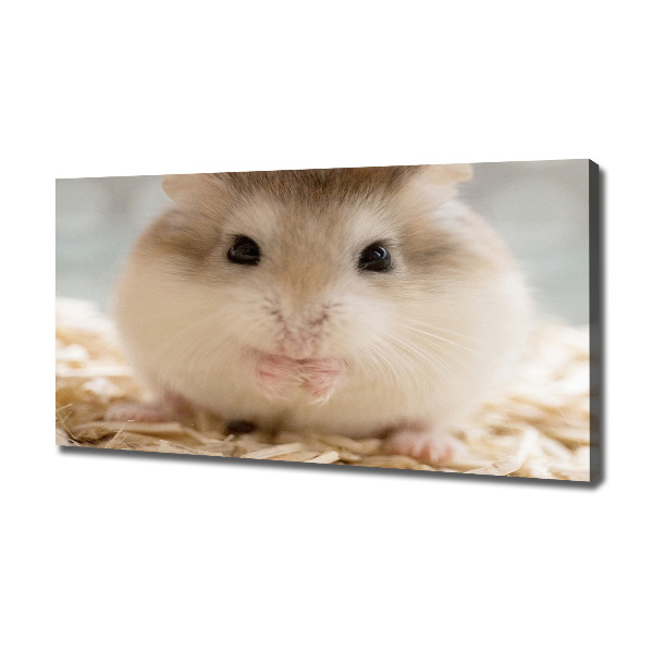 Canvas wall art Hamster