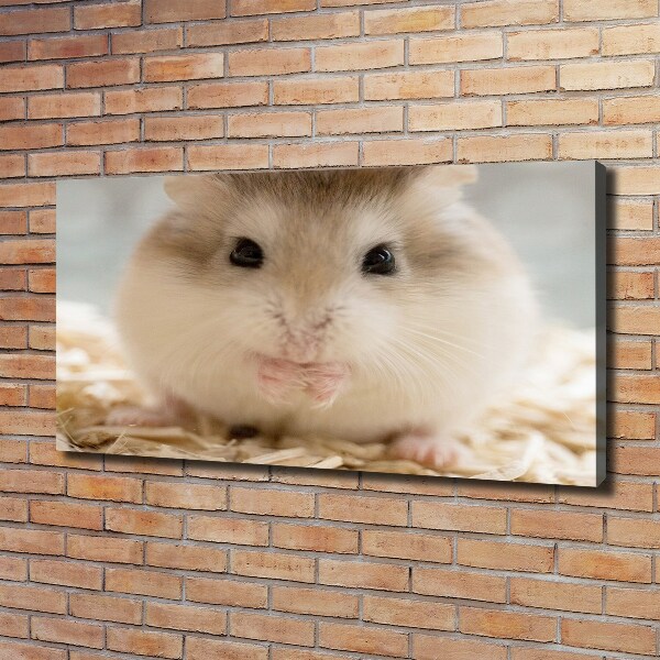 Canvas wall art Hamster