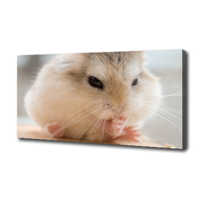 Canvas wall art Hamster