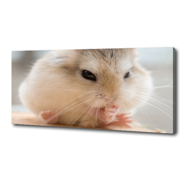 Canvas wall art Hamster