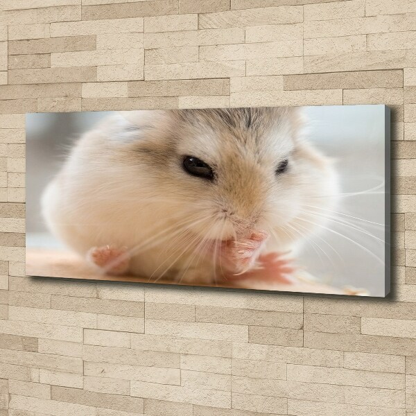 Canvas wall art Hamster