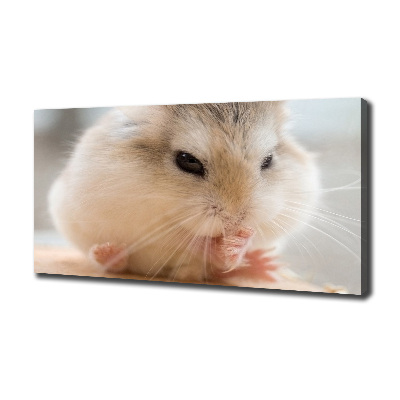 Canvas wall art Hamster