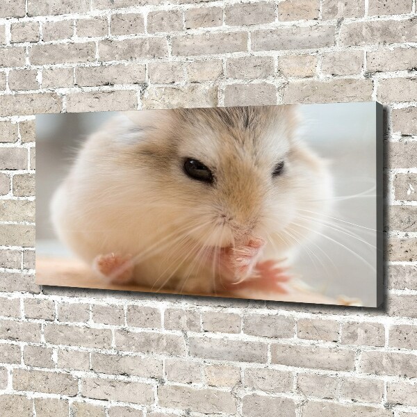 Canvas wall art Hamster