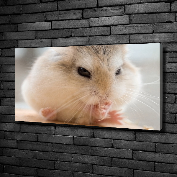 Canvas wall art Hamster