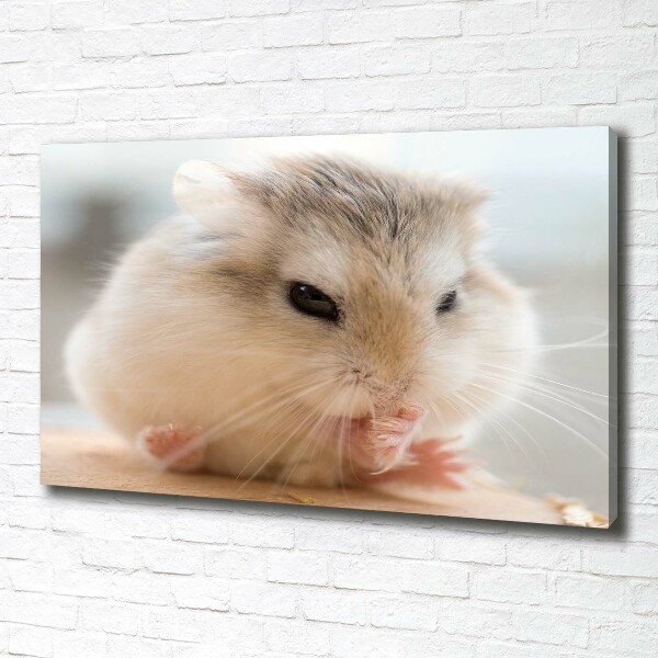 Canvas wall art Hamster