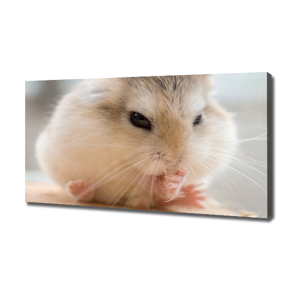 Canvas wall art Hamster