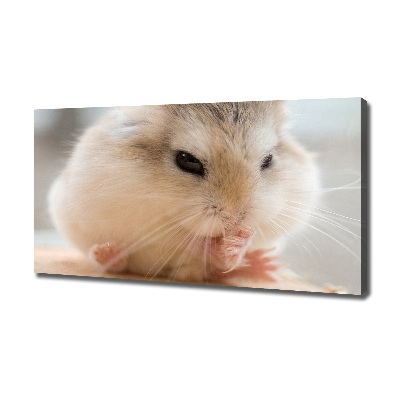 Canvas wall art Hamster