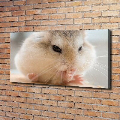 Canvas wall art Hamster