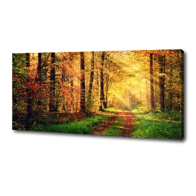 Canvas wall art Forest in autumn