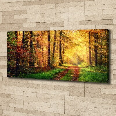 Canvas wall art Forest in autumn