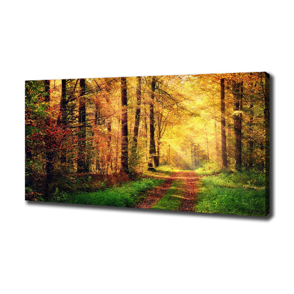 Canvas wall art Forest in autumn