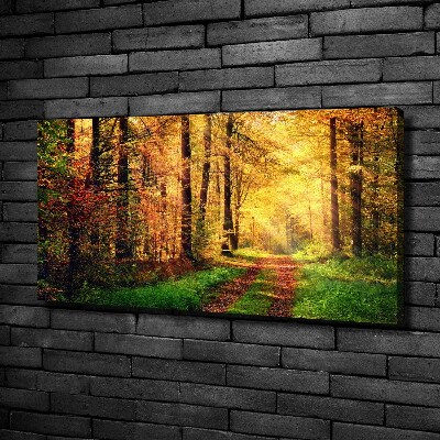 Canvas wall art Forest in autumn