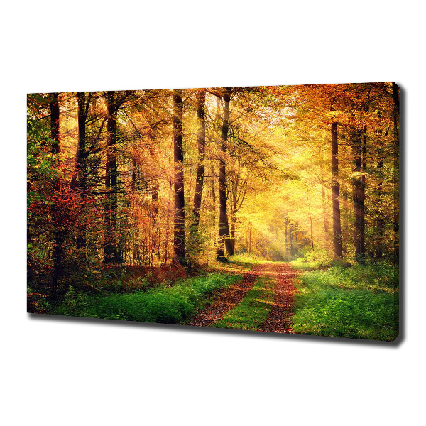 Canvas wall art Forest in autumn