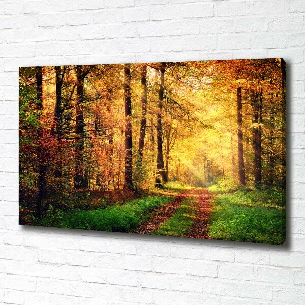 Canvas wall art Forest in autumn