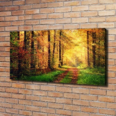 Canvas wall art Forest in autumn