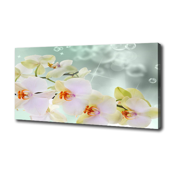 Canvas wall art White orchid