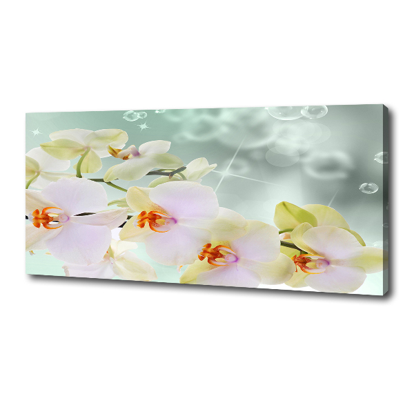 Canvas wall art White orchid