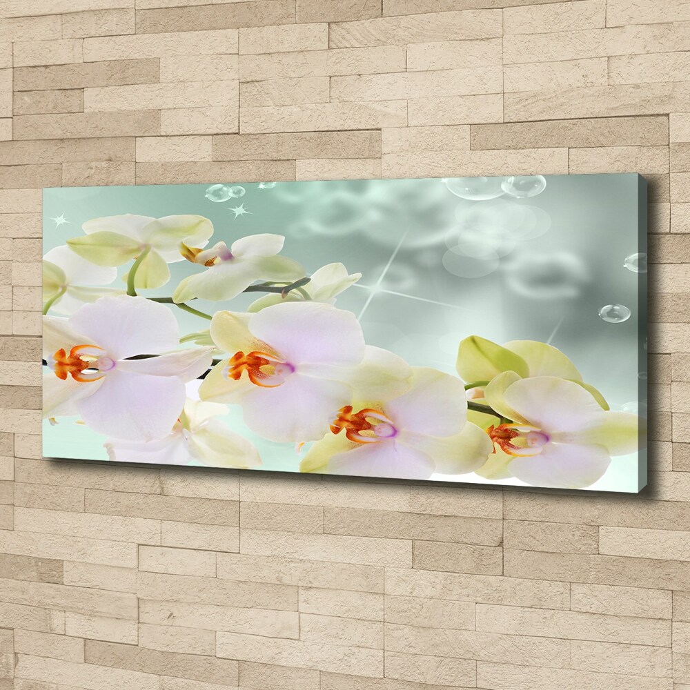 Canvas wall art White orchid