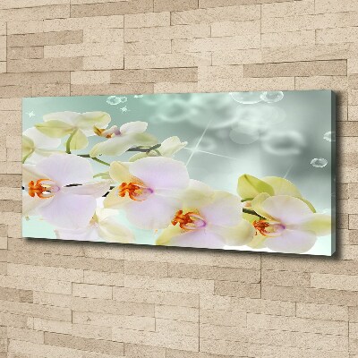 Canvas wall art White orchid