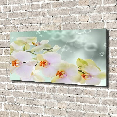 Canvas wall art White orchid