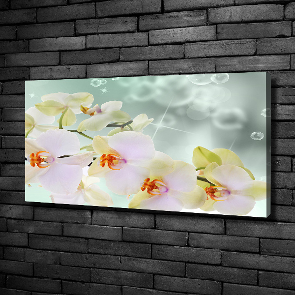 Canvas wall art White orchid