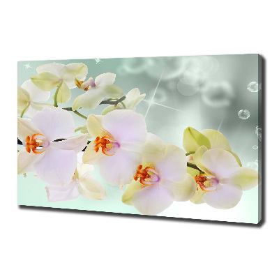 Canvas wall art White orchid