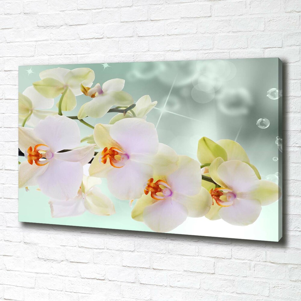 Canvas wall art White orchid