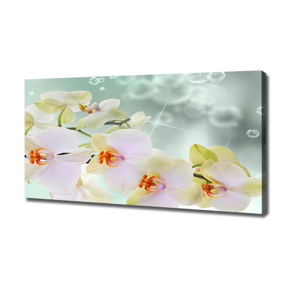 Canvas wall art White orchid