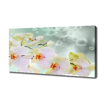 Canvas wall art White orchid