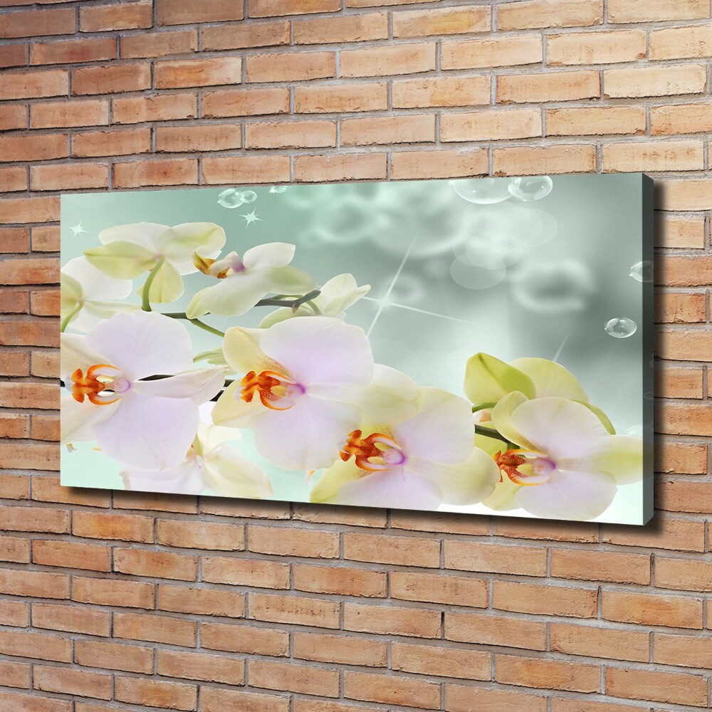 Canvas wall art White orchid