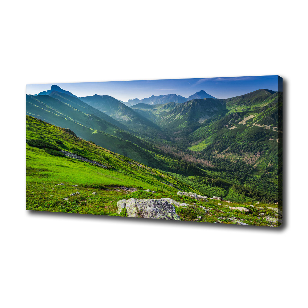 Canvas wall art Dawn in the mountains