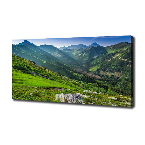 Canvas wall art Dawn in the mountains